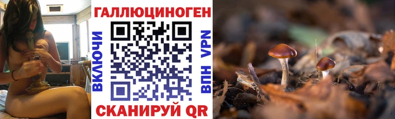 OMG маркетплейс  купить наркотики сайты  Наро-Фоминск  Галлюциногенные грибы мицелий 